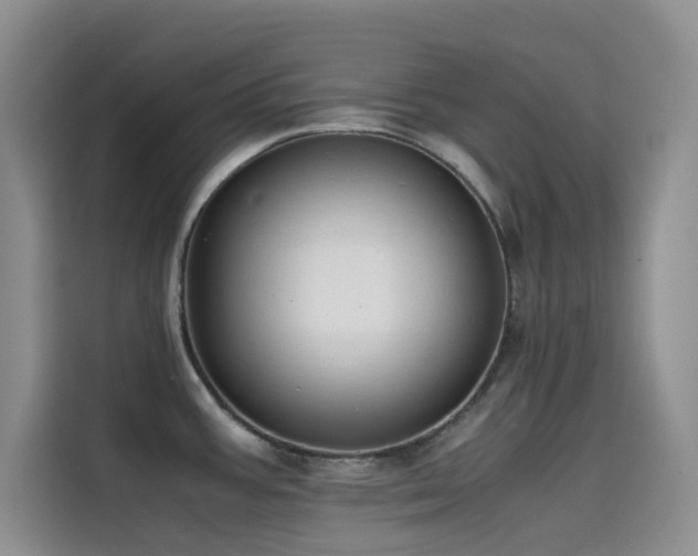 X0000114621387200910201124
