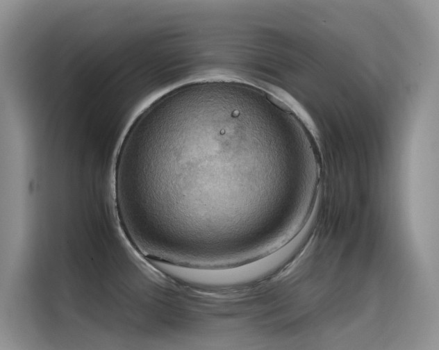 X0000114621388200910201124