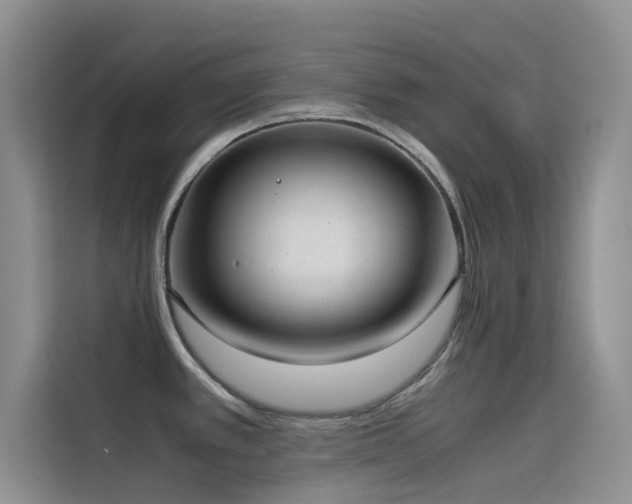 X0000114621389200910201124