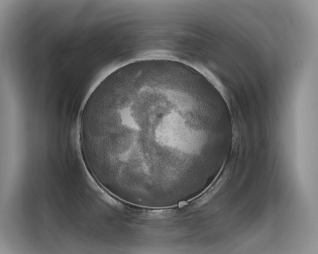 X0000114621390200910201124