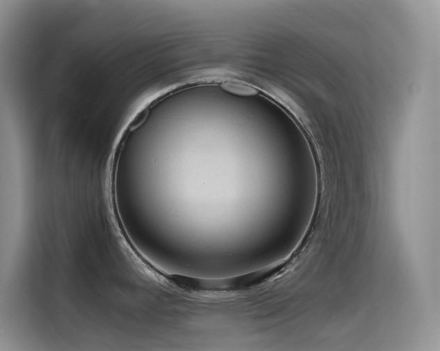X0000114621392200910201124