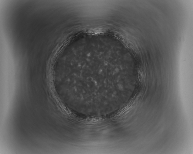 X0000114621393200910201123