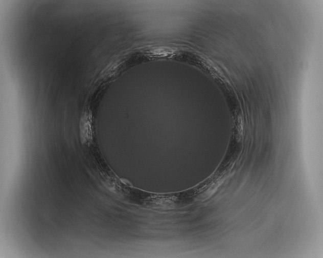X0000114621394200910201123