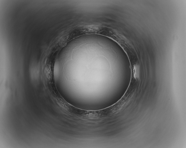 X0000114621395200910201123