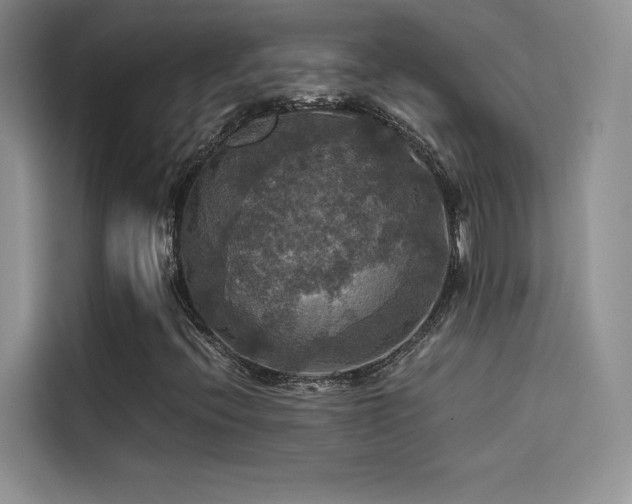 X0000114621396200910201123