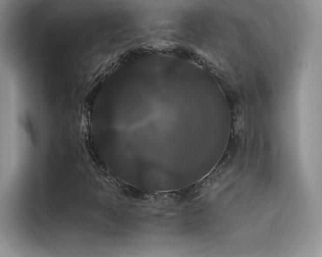 X0000114621397200910201123