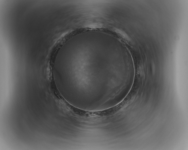 X0000114621398200910201123