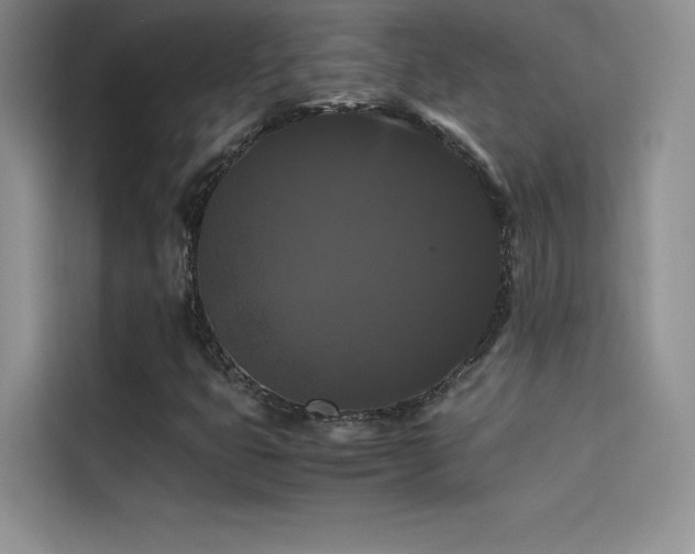 X0000114621399200910201123