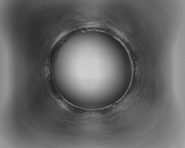 X0000114621400200910201123