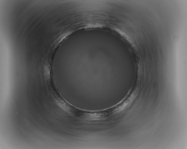 X0000114621401200910201123