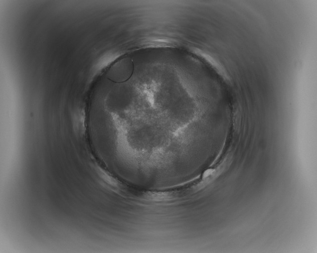 X0000114621402200910201123
