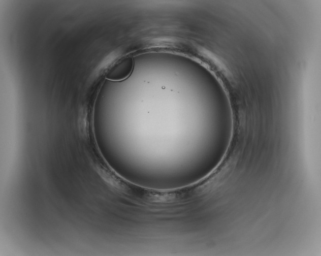X0000114621403200910201123