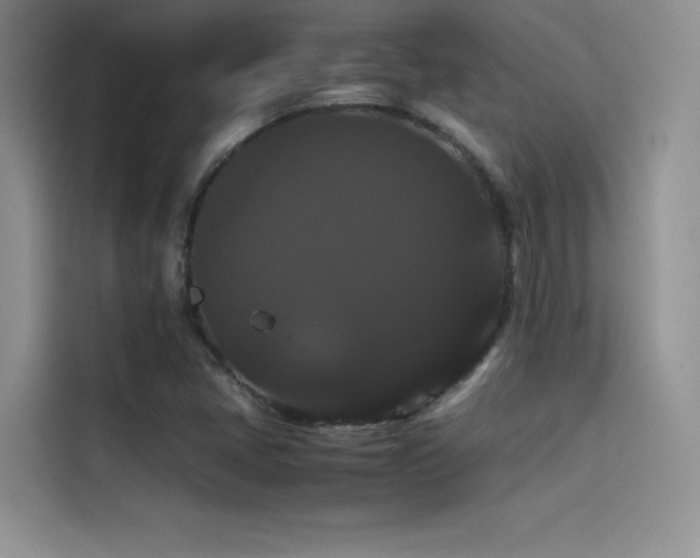 X0000114621405200910201123