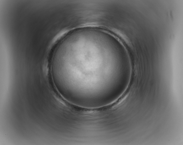 X0000114621406200910201123