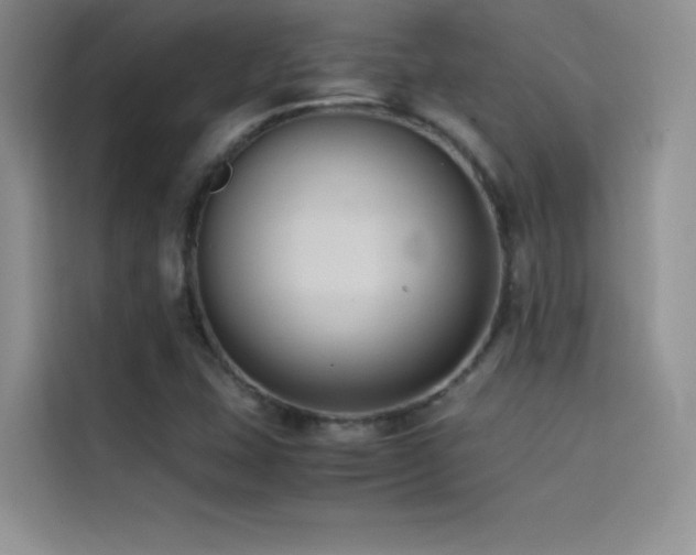 X0000114621407200910201123