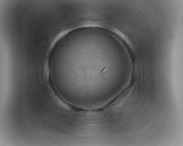X0000114621408200910201123