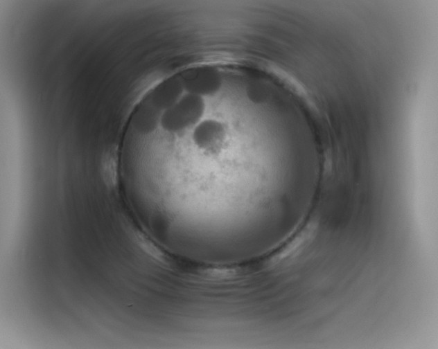 X0000114621409200910201123