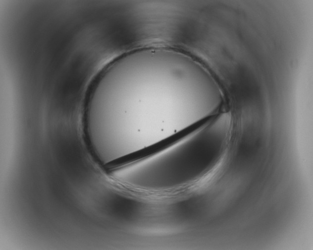 X0000114621410200910201123