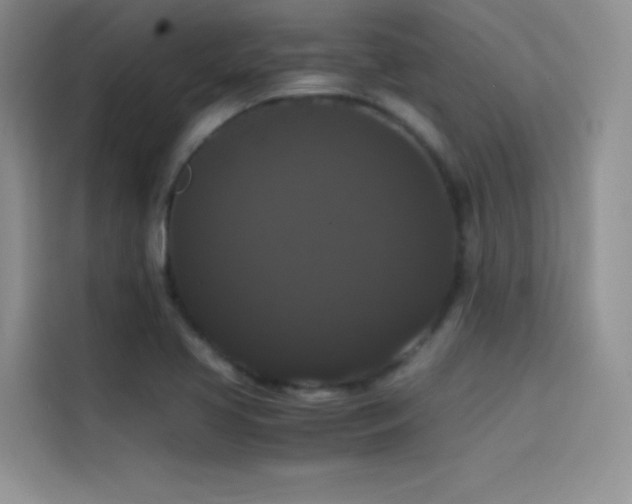 X0000114621413200910201123