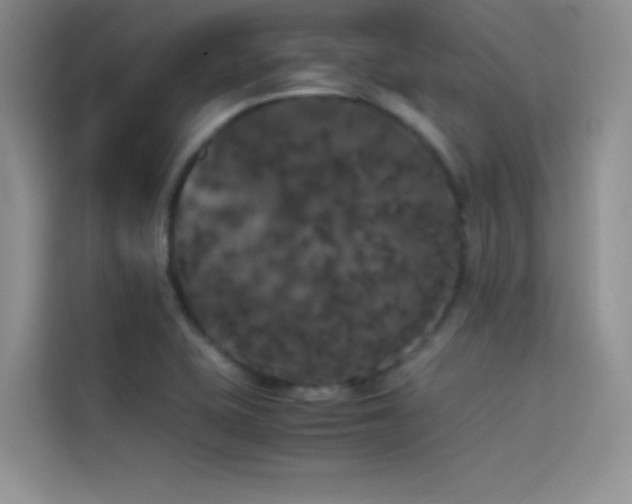 X0000114621415200910201123