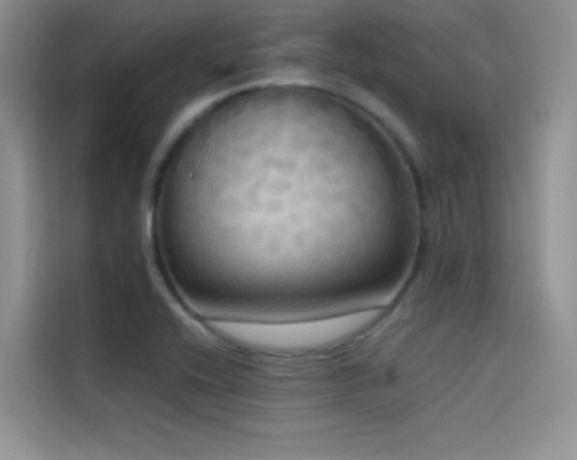 X0000114621416200910201123