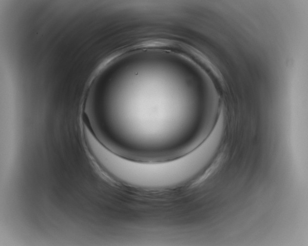 X0000114621417200910201123