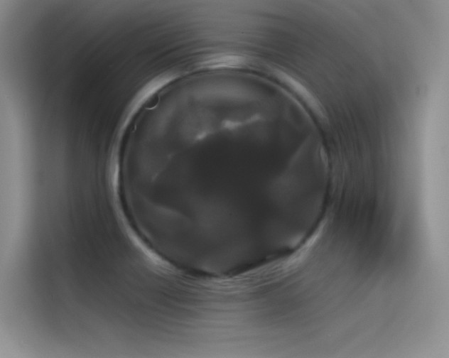 X0000114621418200910201123
