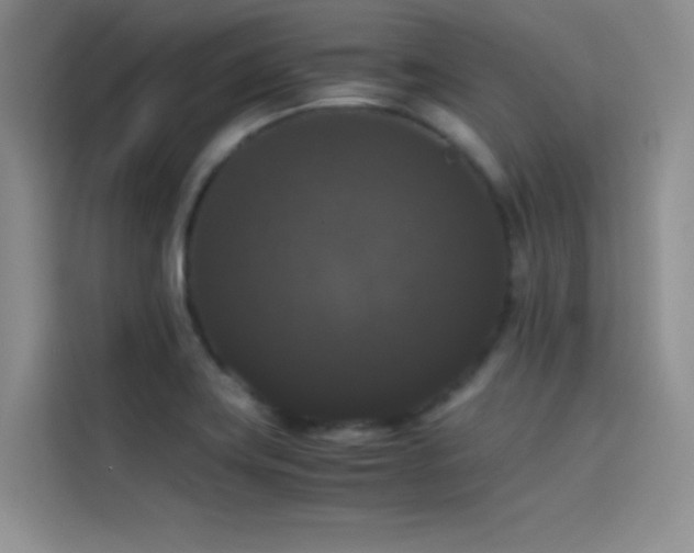 X0000114621419200910201123