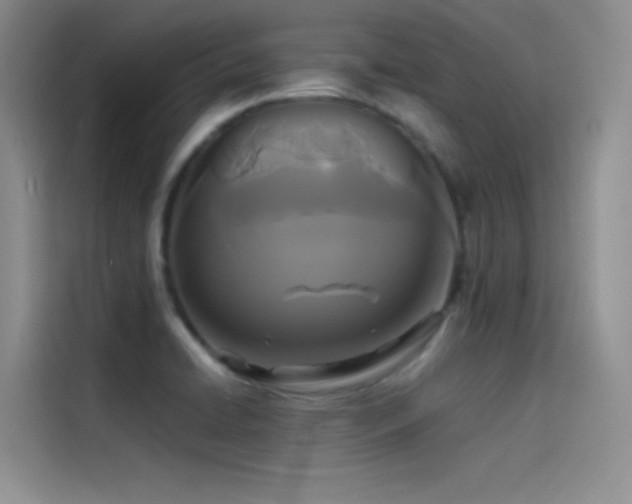 X0000114621422200910201123