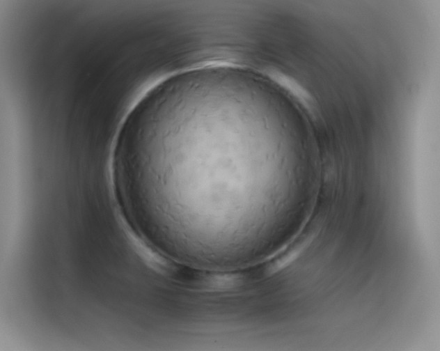 X0000114621423200910201123