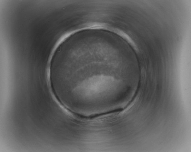 X0000114621424200910201123