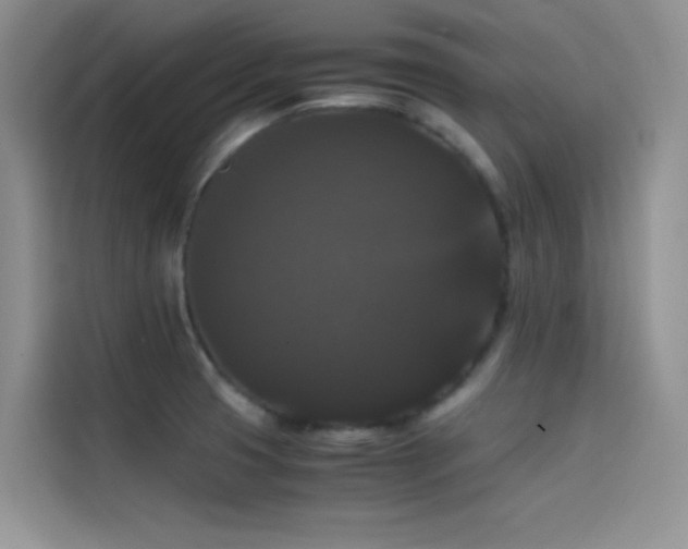 X0000114621425200910201123