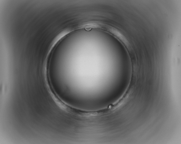 X0000114621426200910201123