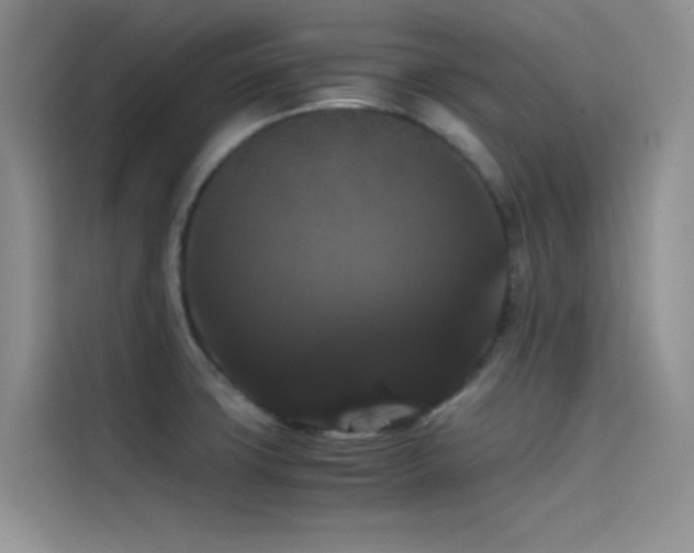 X0000114621427200910201123