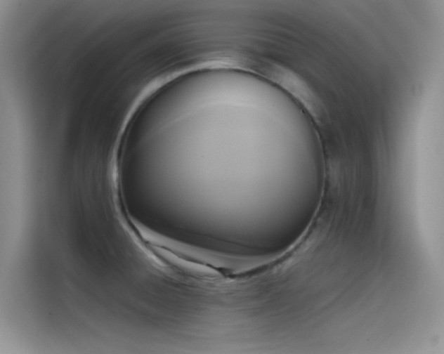 X0000114621428200910201123