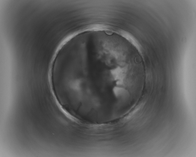 X0000114621429200910201123
