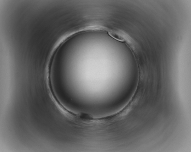 X0000114621430200910201123
