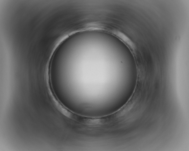 X0000114621431200910201123