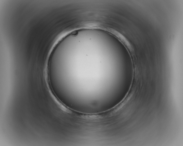 X0000114621432200910201124