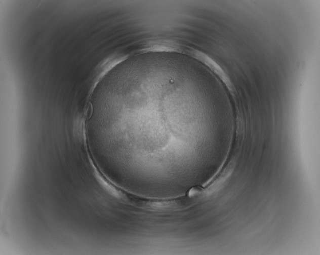 X0000114621433200910201124