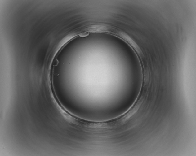 X0000114621434200910201124