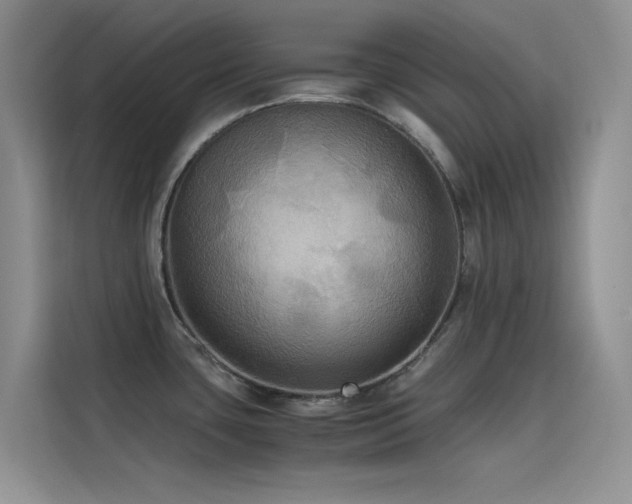 X0000114621435200910201124