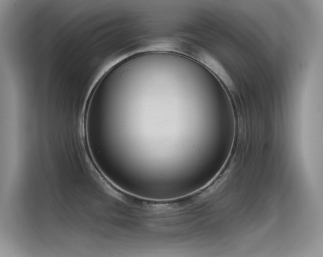 X0000114621436200910201124