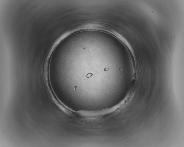 X0000114621437200910201124