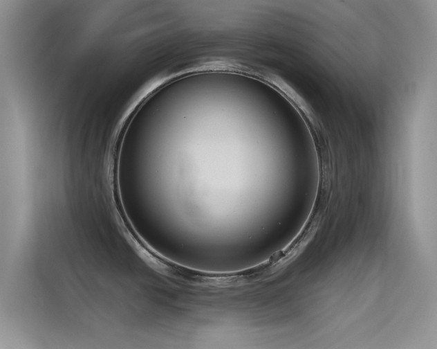 X0000114621438200910201124
