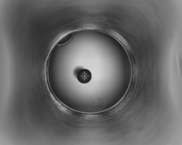 X0000114621439200910201124