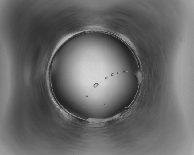 X0000114621440200910201124