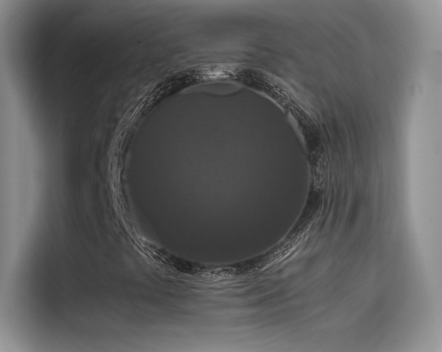 X0000114621441200910201123