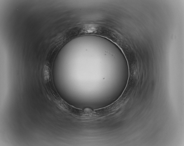 X0000114621442200910201123
