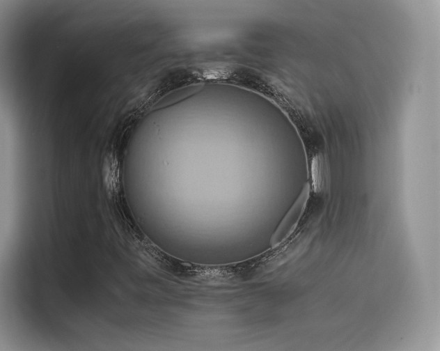 X0000114621443200910201123